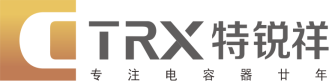 四川特銳祥科技股份有限公司攜 SMD-TRX 、SMD-NTC、DIP-TY亮相CAEE家電制造業(yè)供應(yīng)鏈展覽會(huì)